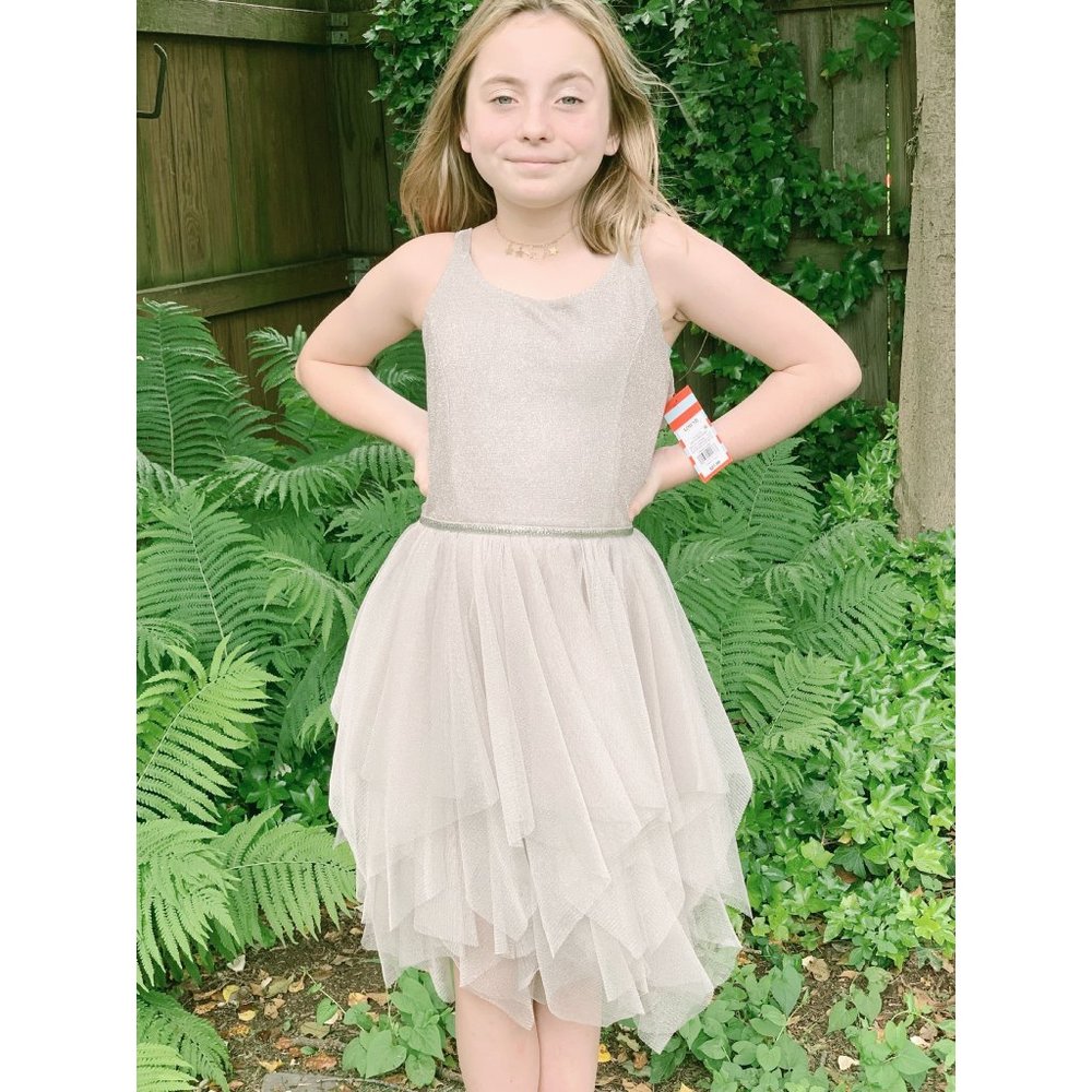 NWT Cat & Jack Sparkle Champagne Tulle Dress